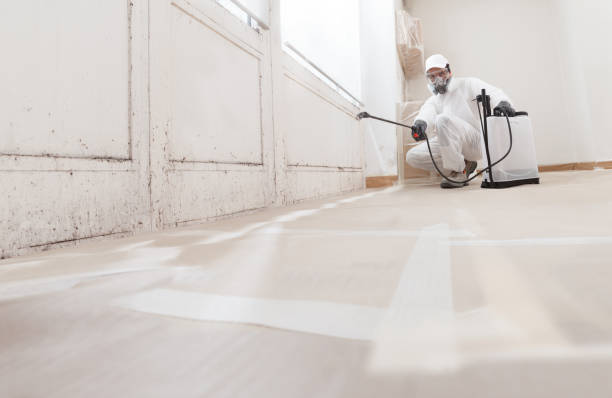 24/7 Emergency Basement Mold Removal experts in Hoboken, NJ