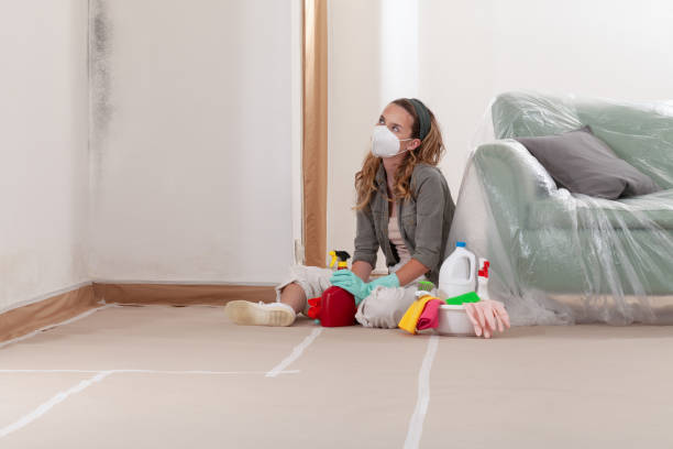 Reliable Basement Mold Removal contractor in Hoboken, NJ by WQB Mold Removal